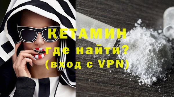 индика Архангельск