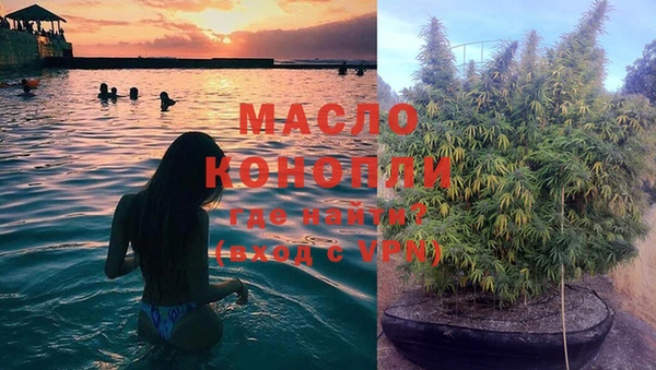 амф Нижний Тагил