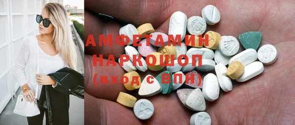 индика Архангельск