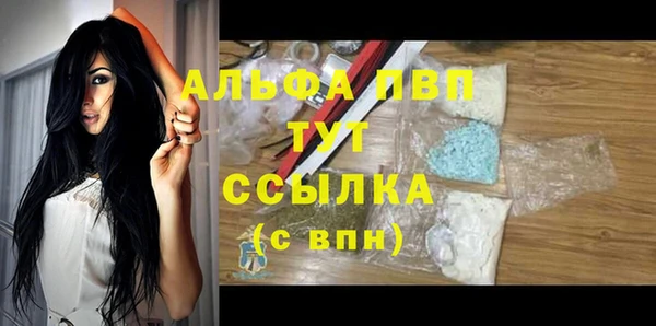 СК Медвежьегорск